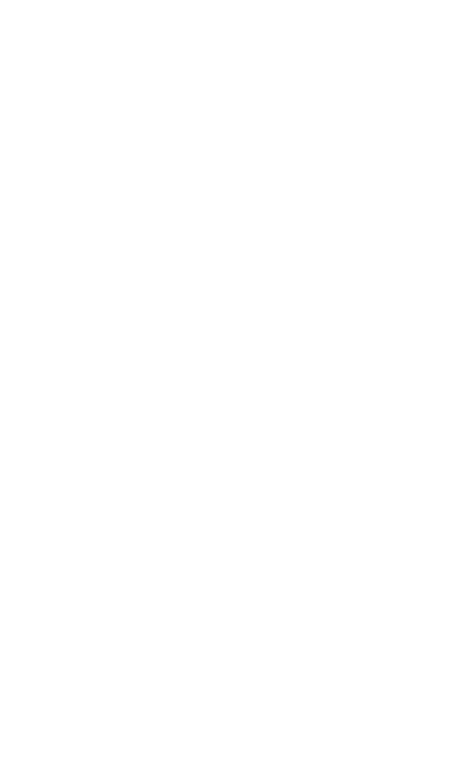 mj sport